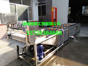 根莖類蔬菜清洗機(jī) 高壓噴淋清洗設(shè)備