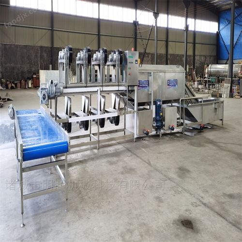 果蔬加工成套設(shè)備