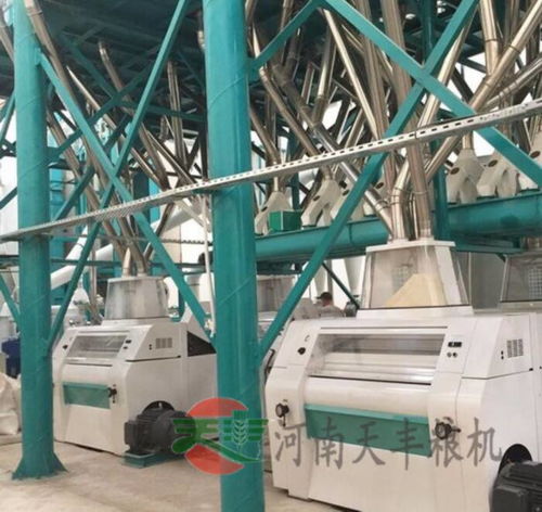 玉米成套加工設備 山東省玉米加工設備 天豐糧機