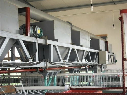 蛋雞自動喂料機 ,滎陽市遠達機械廠